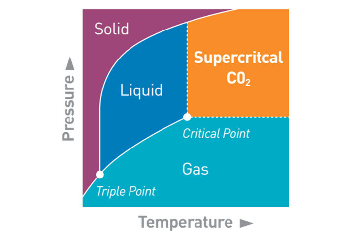 CO2 Transport for Various Phases