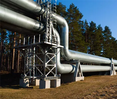 Large Pipelines In Forest