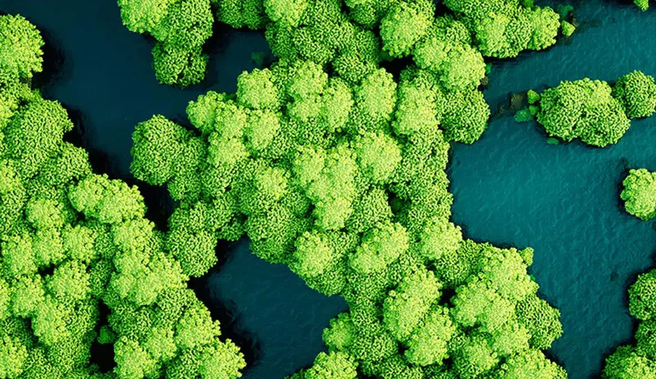 Nav Sustainability Bg