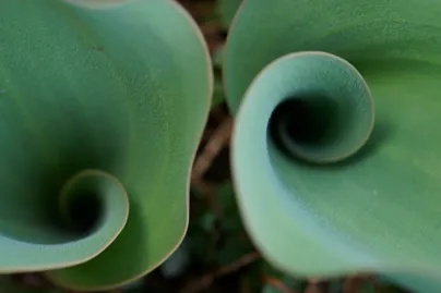 Shutterstock 2437326175