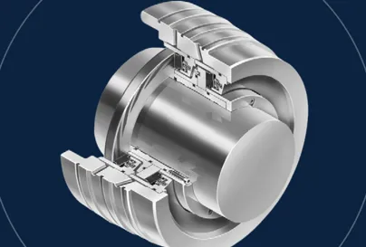 Dry Gas Seal Retrofit Cs