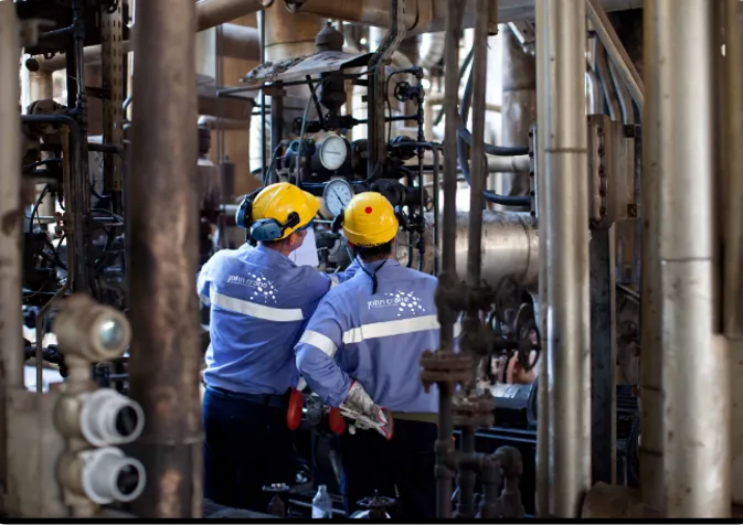 Two people in blue shirts and yellow hard hats work a seal, focused on their task in a work environment.